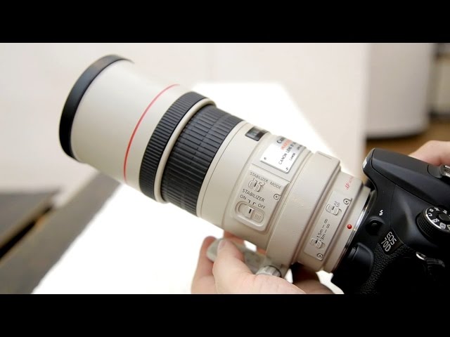 Canon 300mm f/4 IS USM 'L' lens review with samples (Full-frame