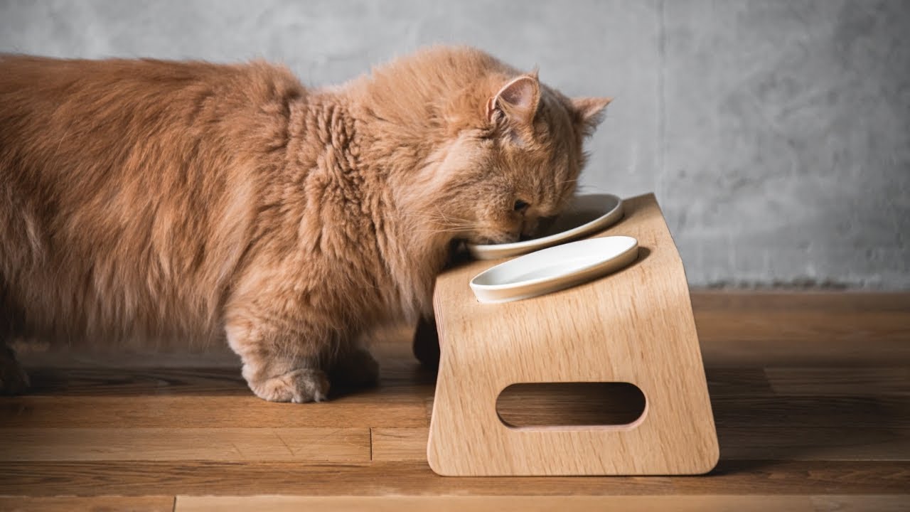 KARIMOKU CAT TABLE