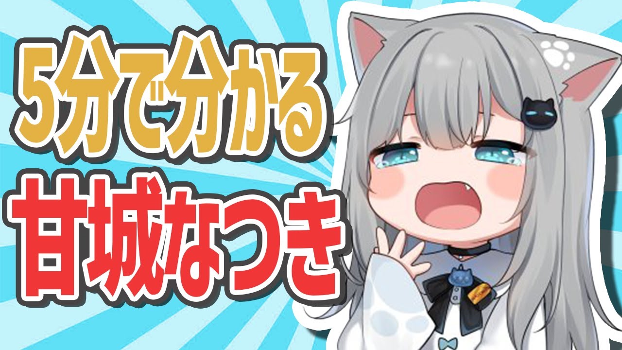 ガレリア×なちょ猫 コラボ ノートPCケース 甘城なつき Nachoneko