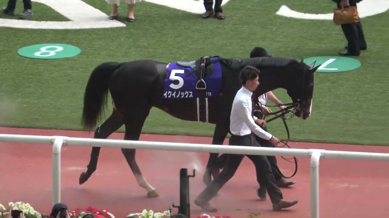 イクイノックス 国内GI全7戦 現地購入記念馬券 イクイノックス 国内