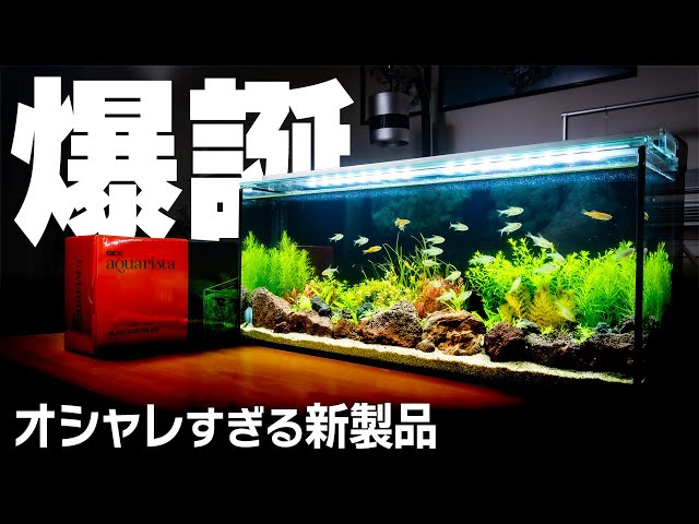 ジェックス グラステリア TS600－GC グラスカスタムセット水槽