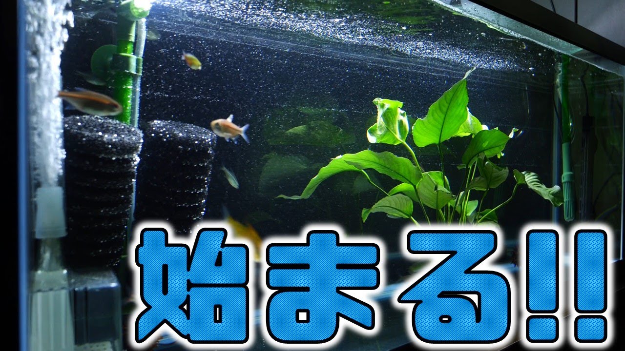 KOTOBUKI WIDE 900ブラック水槽 水槽 コトブキ900ワイド