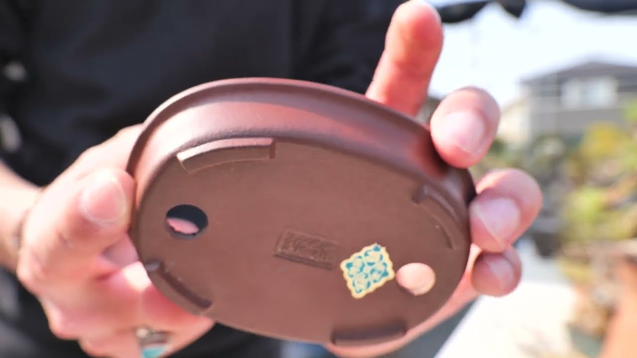 浅井茶山 品野茶山 龍翁庵 呉老賢人 肉筆画 真品 盆栽鉢 37.5*32cm