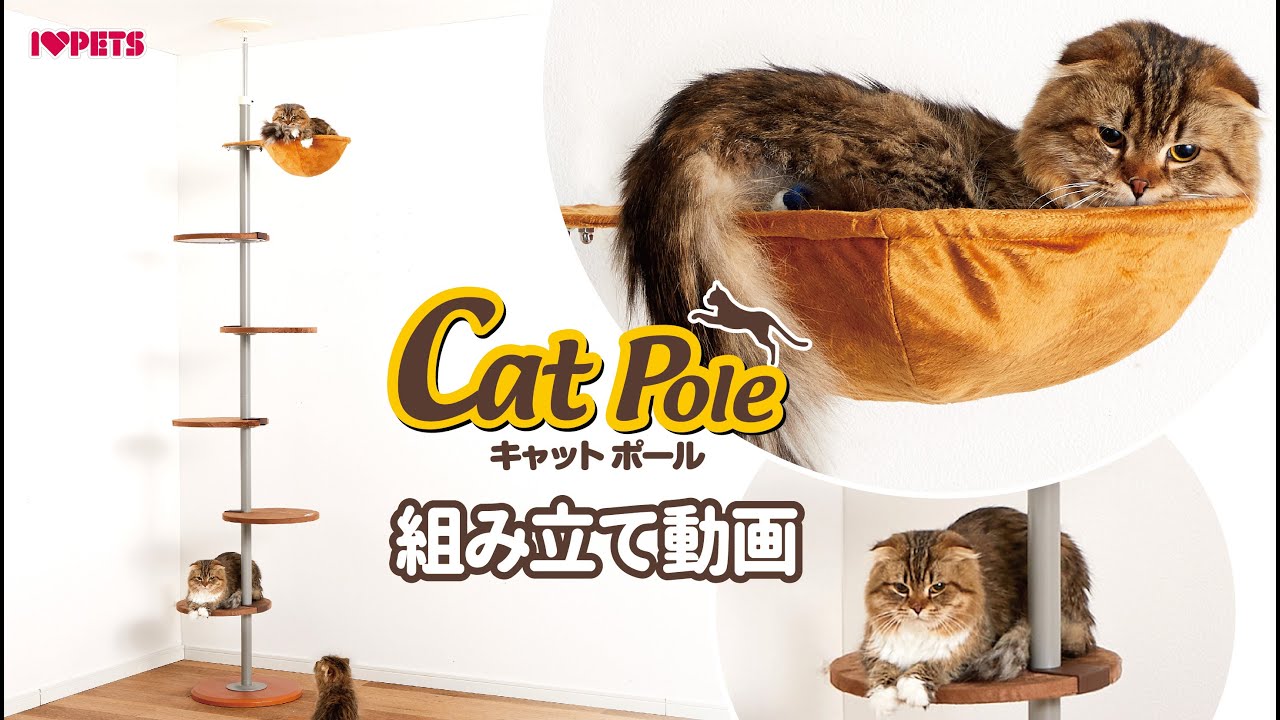 ボンビアルコン オンラインショップ / キャットポール