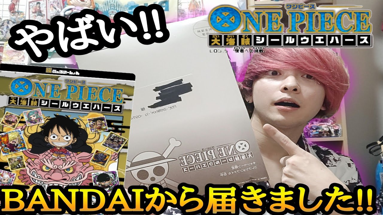 ONE PIECE 大海賊シールウエハース収納ファイル