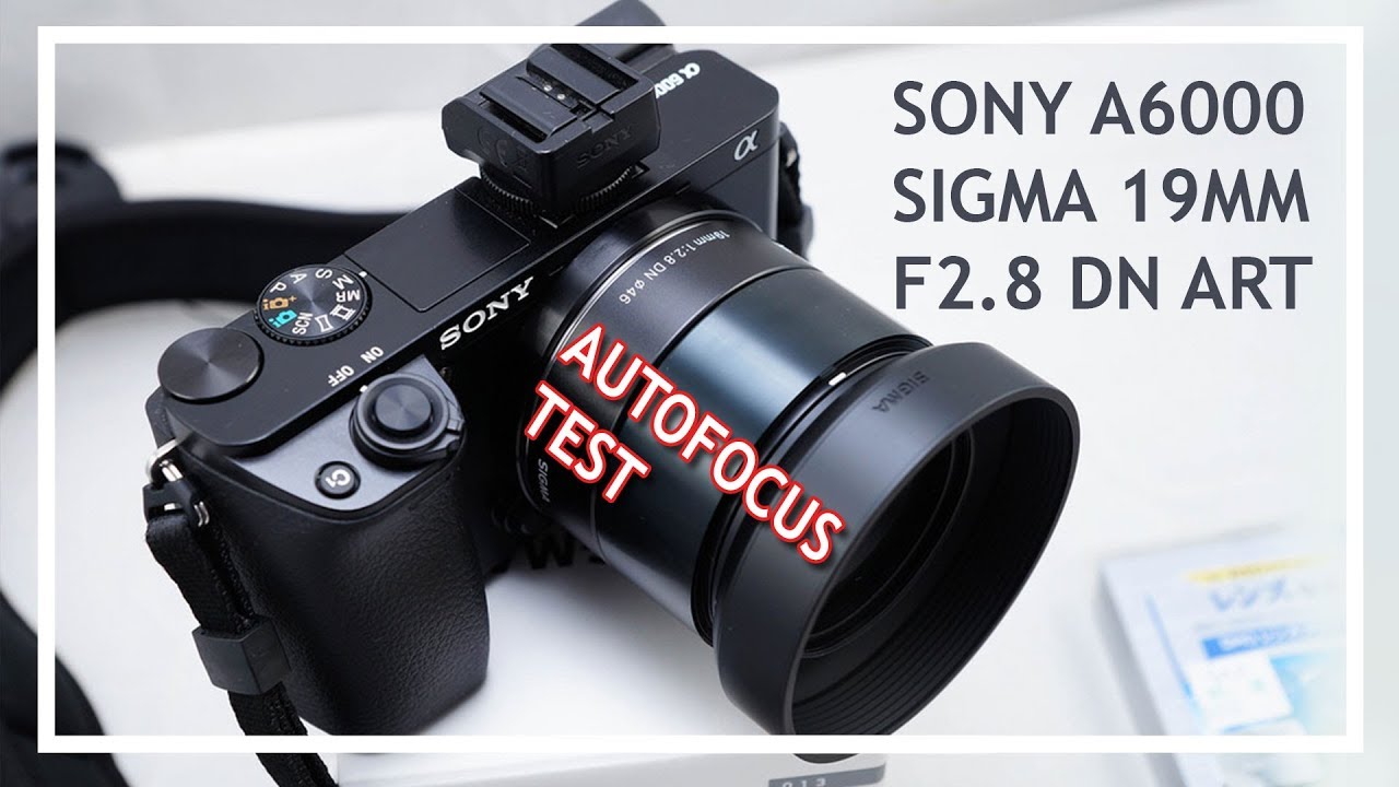 SONY A6000 + SIGMA 19mm F2.8 DN ART | AUTOFOCUS TEST - YouTube
