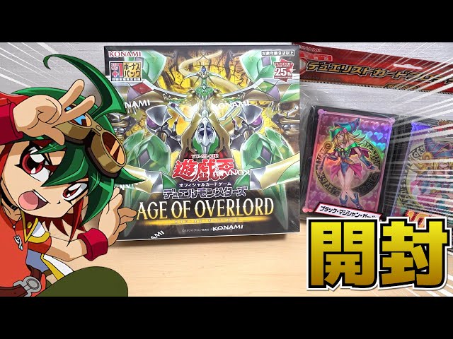 遊戯王 オーバーフレーム】PSA 専用 フレーム スタンド 13個 遊戯王