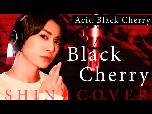 Acid Black Cherry ライター 10個セット ABC yasu Acid Black Cherry