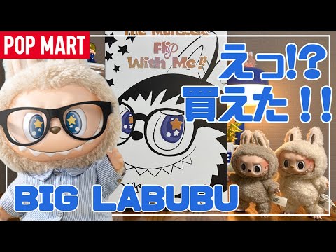 POPMART] POPMART LABUBU Flip With Me unboxing Lovebu is so cute