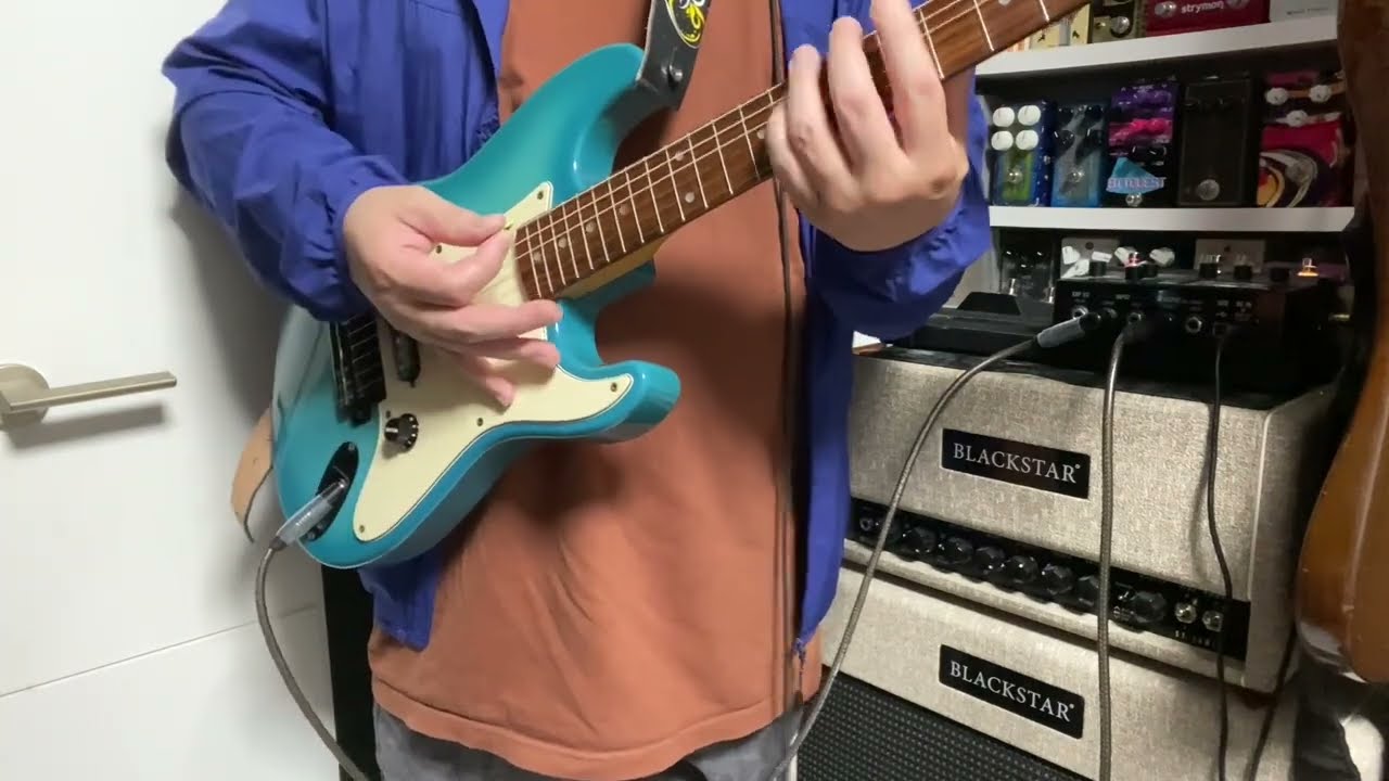 Bill Lawrence - BCOR MB(ミニ シャケモデル) : 【○八】マルハチBlog