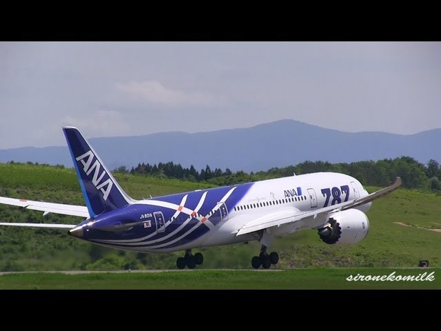 Special Color | ANA All Nippon Airways Boeing 787-8 Dreamliner