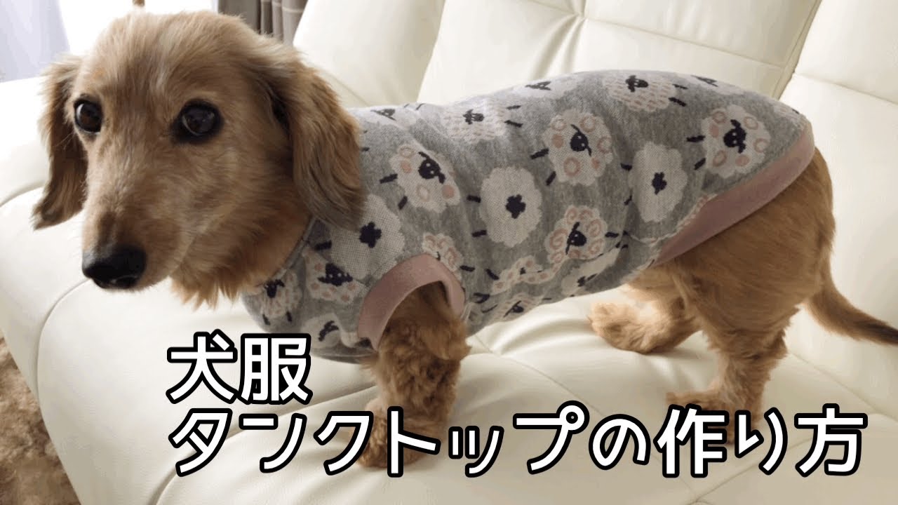 犬服タンクトップの作り方 犬服ハンドメイド - YouTube