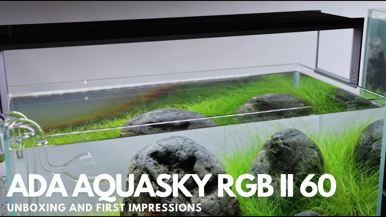 NEW ADA AQUASKY RGB BASIC 300! - YouTube