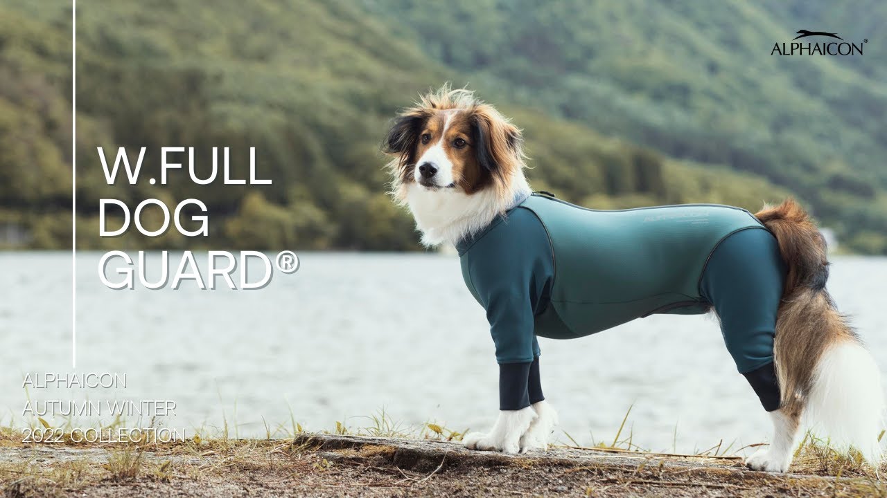 AW22 NEW COLLECTION W.FULL DOG GUARD® - YouTube