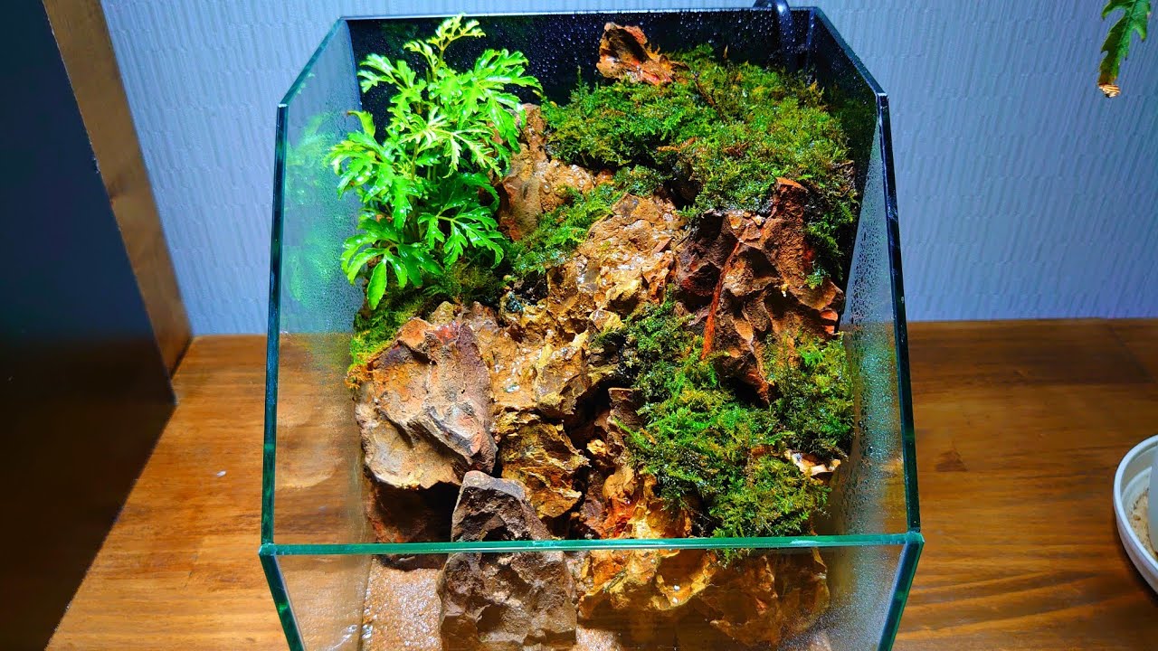 滝の流れるアクアテラリウム No.1144 滝の流れるアクアテラリウム No