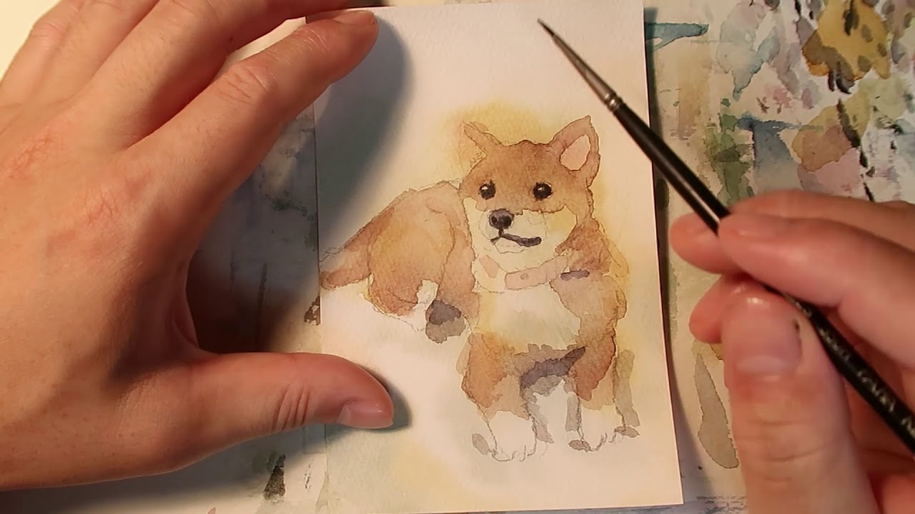 水彩で柴犬を描く / How to draw Shibainu in watercolor. - YouTube