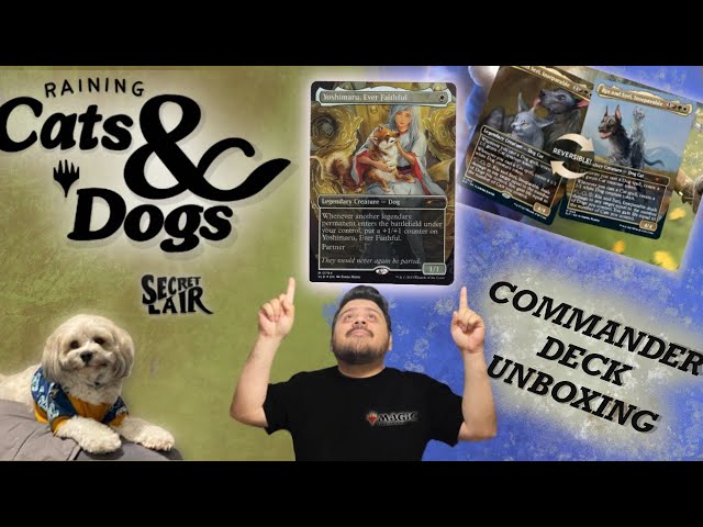RAINING CATS AND DOGS! | Unboxing the latest Secret Lair Commander