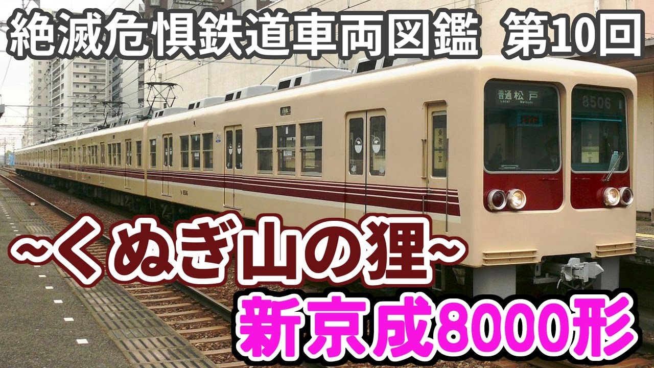 希少】A-3490 新京成電鉄8000形 【迷列車派生】消えゆく鉄道車両 第