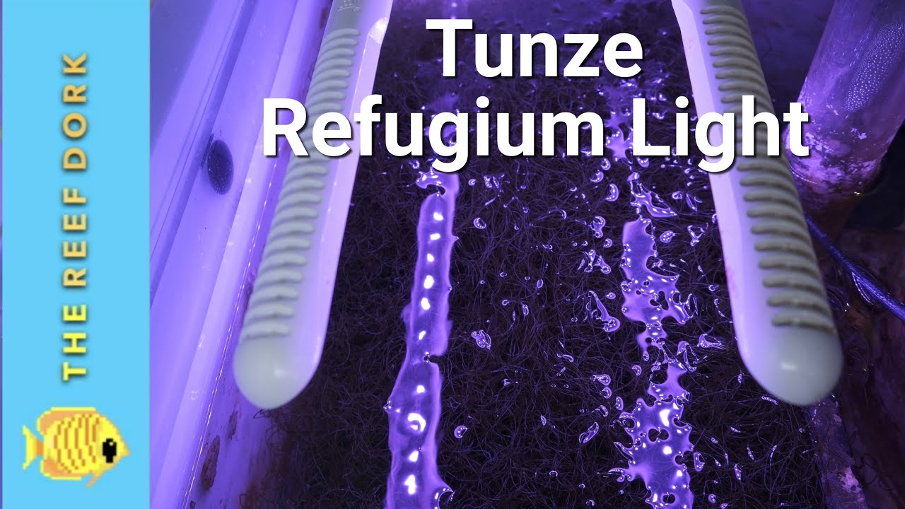 Tunze 8831 Owner's Review. A Refugium Light With a Party Trick