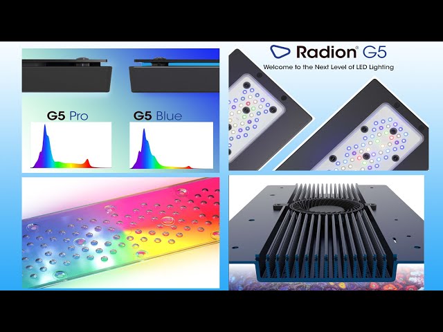 Radion Gen 5 Blue & Pro LED Light, Deep Dive Discussion with