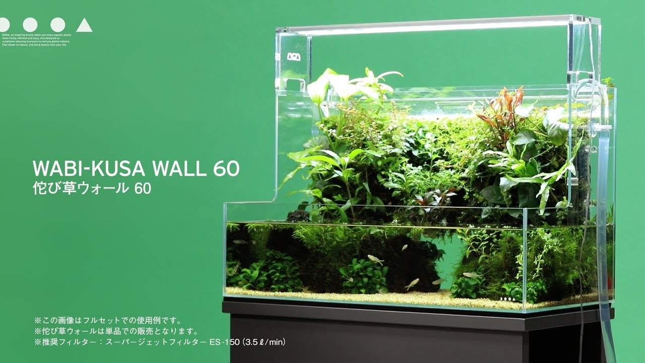 新品】 廃盤 ADA DOOA ネオグラステラ H23 アクアデザインアマノ DOOA