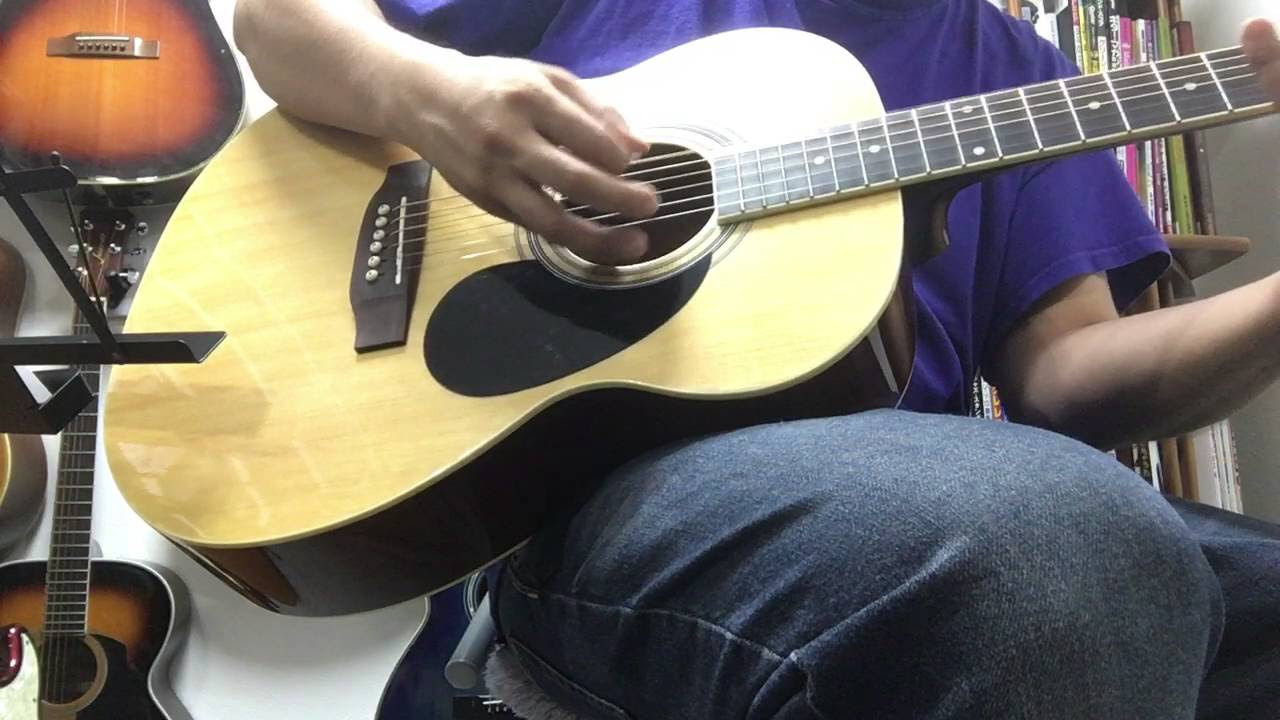 HONEY BEE F-15/N ハニービー アコースティックギター HONEY BEE F-15