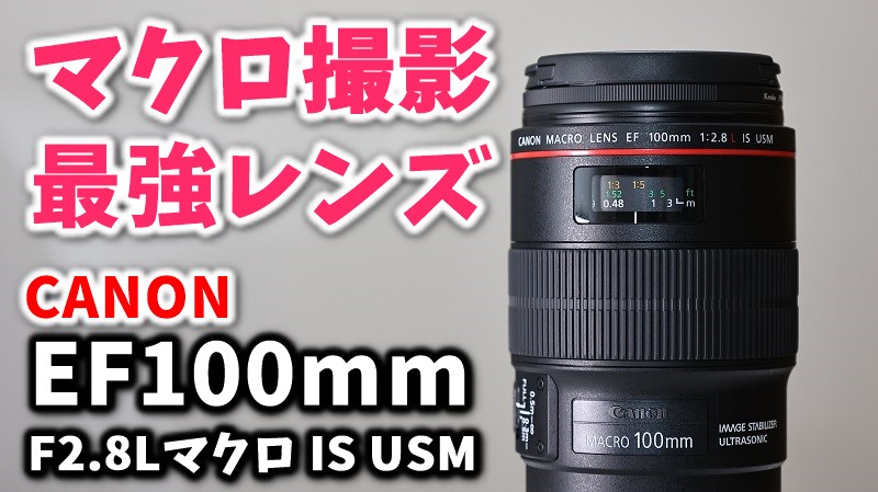 Canon EF 100mm f/2.8L マクロレンズ + マウントアダプター レビュー