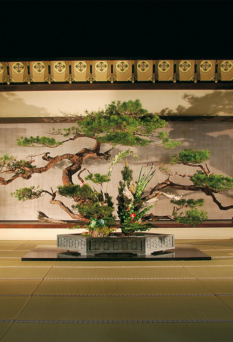 花樂：日本華道社