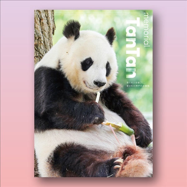 売約済 王子動物園 タンタン クリアファイル & ありがとうタンタン