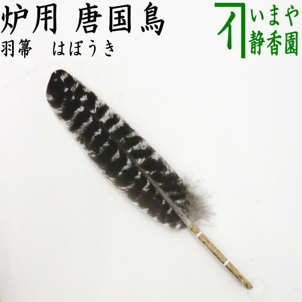 sumitori-189.jpg?v=1715233487&