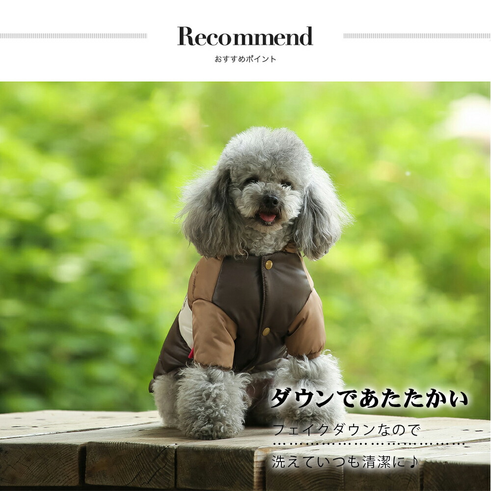 楽天市場】ペット用ダウンジャケット キャット ドッグ ドッグウェア 猫