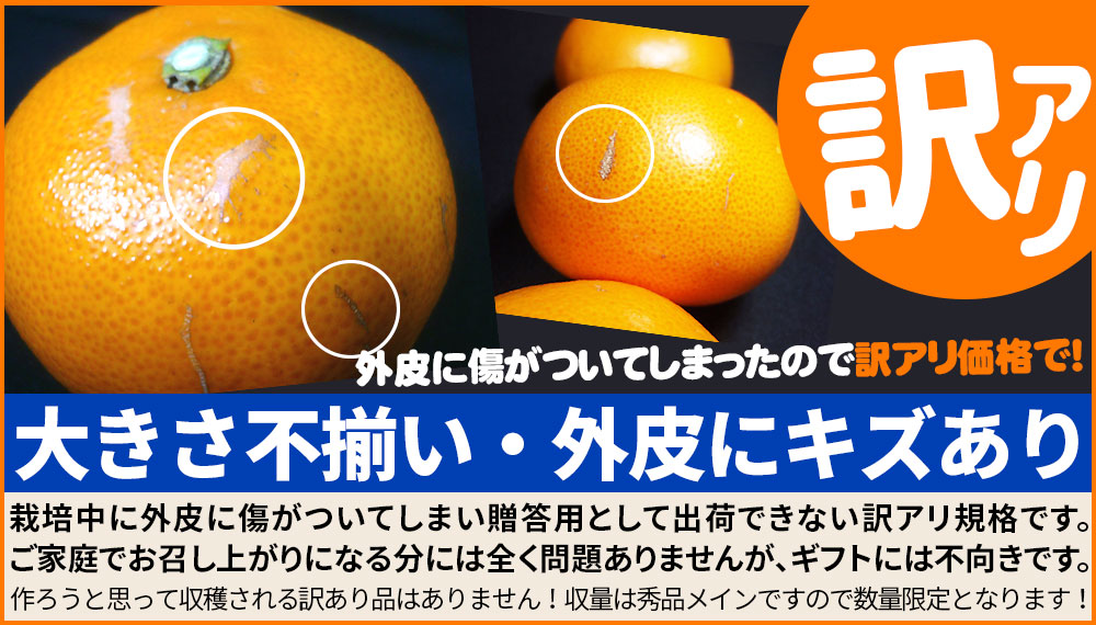 プレミアム みかん せとか 家庭用約1.8kg】（M～4L 約7～12玉 愛媛県