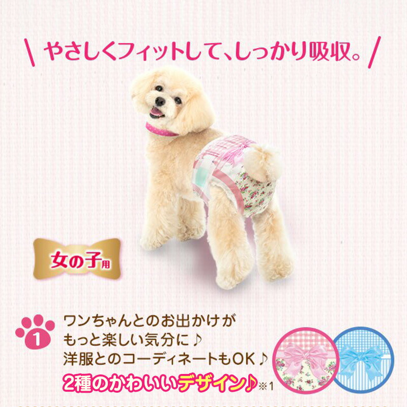 楽天市場】＼本日500円オフ+P3倍／ ユニチャーム マナーウェア 長時間