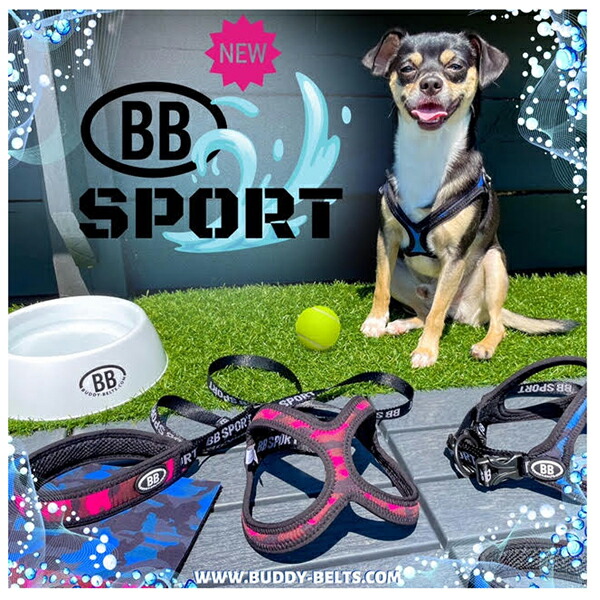 バディーベルト BBスポーツハーネス 3.5号 小型犬 ペット BUDDYBELT
