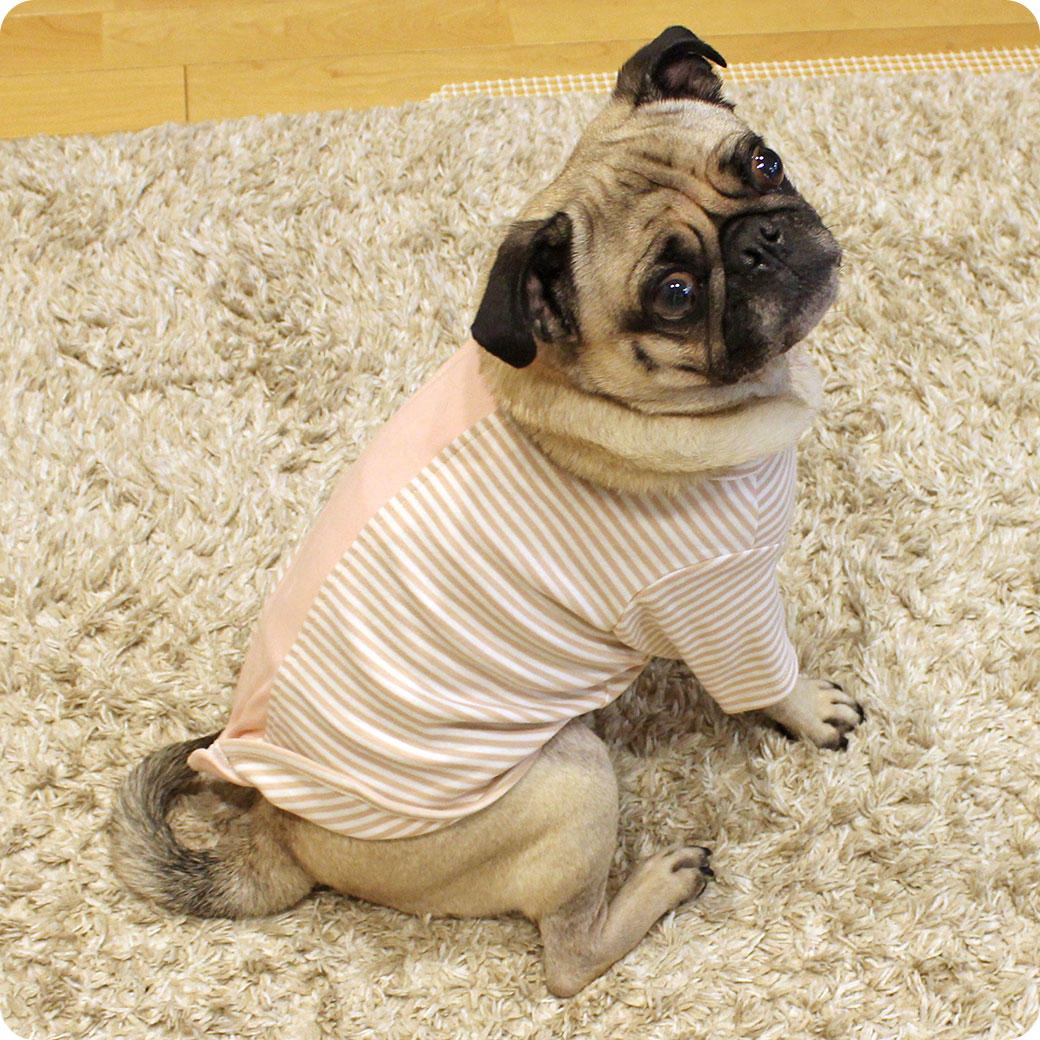 卸売】iDog UNAGE ウェルネスウェア 背中開きTシャツ アイドッグ