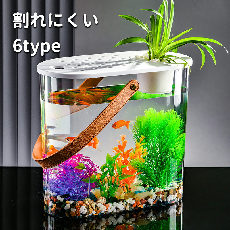 楽天市場】金魚鉢 卓上 すいそう おしゃれ 小型水族館 かわいい