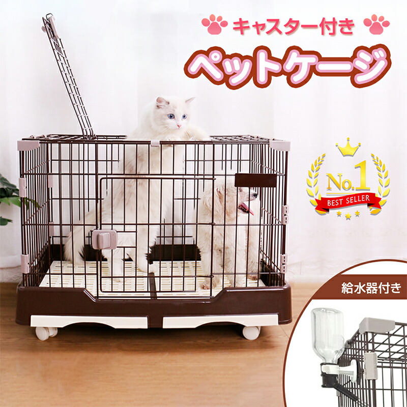 楽天市場】【P5倍＆タイムSALE⇒10%OFF】RAKU 楽天1位 給水器付 うさぎ