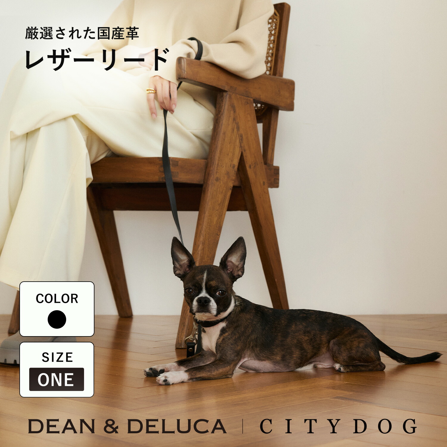 楽天市場】犬 リード おしゃれ ｜ 本革 革 伸縮 首輪 お洒落 かわいい