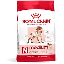 51gqKVGRJFL._AC_UL210_SR210,