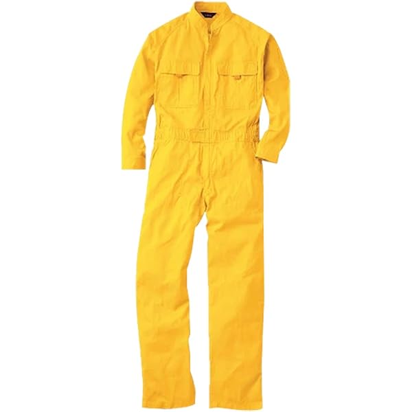 Amazon.co.jp: 日本製紙クレシア/クレシア クリーンガードCX ツナギ服