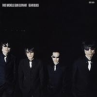 ミッシェルガンエレファント 会報 TMGE ロッキンブルース おまけ付き