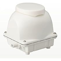 31vNKL-xvJL._AC_UL210_SR210,