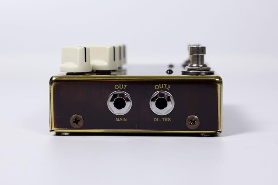 VEMURAM DJ1 - ベーシストDARRYL JONES氏との共同開発によって誕生した