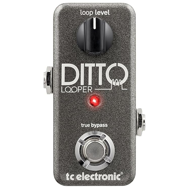 TC Electronic Ditto Looper - 超コンパクトサイズでシンプルな