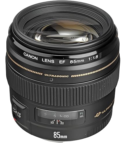 Amazon.com : Canon EF 85mm f/1.2L II USM Telephoto Lens : Electronics