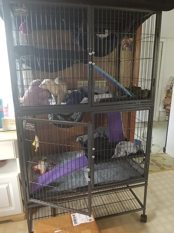 希少 フェレット ネイション ケージ ferret nation 輸入 MidWest Homes