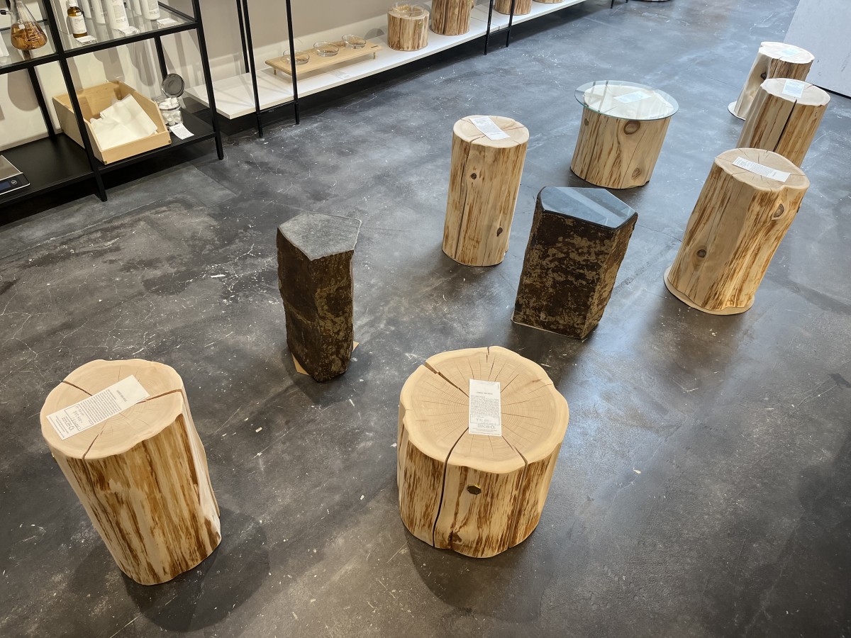 店内に並ぶ丸太スツール＝恵比寿に「青森ヒバ」ブランド新店舗