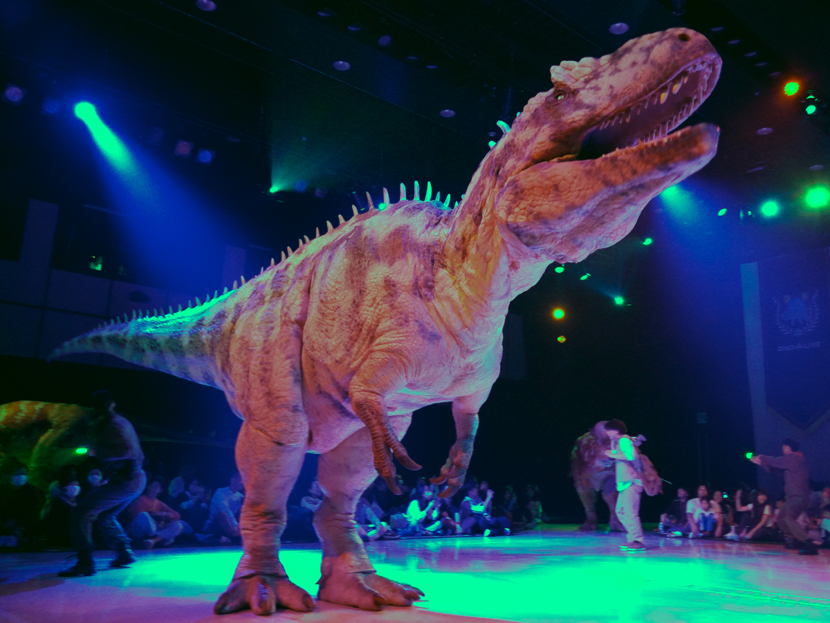 大型肉食恐竜ギガノトサウルス＝恐竜ライブショー「ディノサファリ