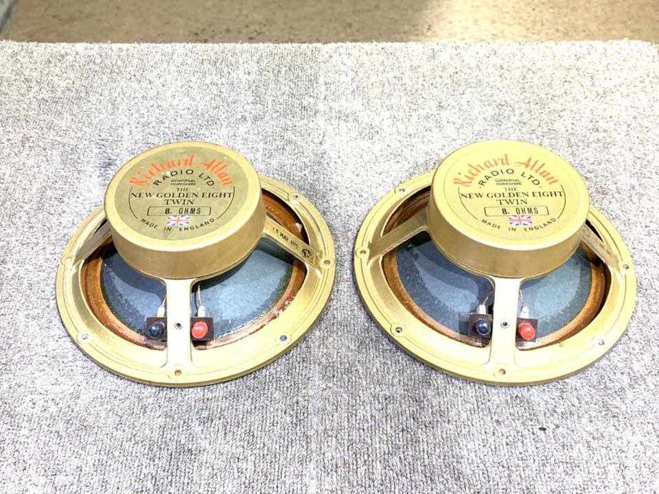 チ*ン様 【ジャンク】リチャードアレン ゴールデンエイト 8インチ