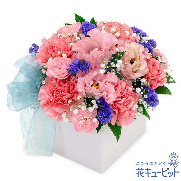 花 大切な人へのプレゼント「トルコキキョウ・・・家族へ」 花 大切な人へ